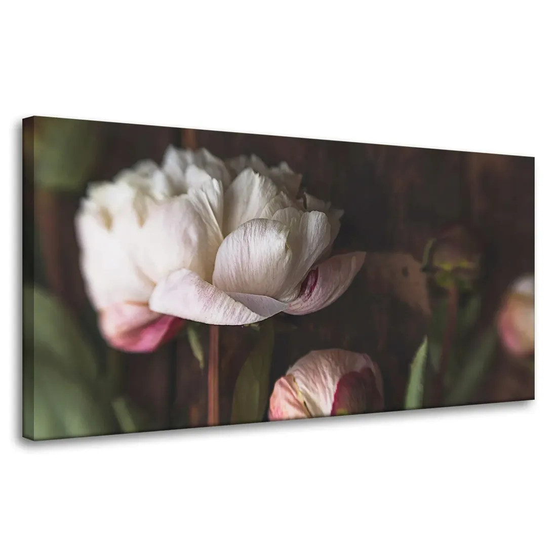obrazy-na-plotnie-botanika-biale-piwonie-80x40-cm-stan-nowy