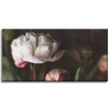 obrazy-na-plotnie-botanika-biale-piwonie-80x40-cm-stan-nowy