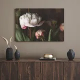 obrazy-na-plotnie-botanika-biale-piwonie-80x40-cm-sposob-wykonania-druk-cyfrowy