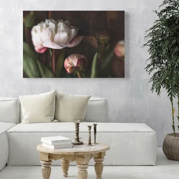 obrazy-na-plotnie-botanika-biale-piwonie-80x40-cm-format-poziomy