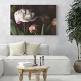 obrazy-na-plotnie-botanika-biale-piwonie-80x40-cm-format-poziomy