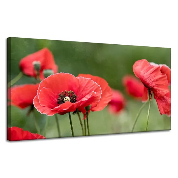 obrazy-na-plotnie-botanika-czerwone-maki-120x60-cm