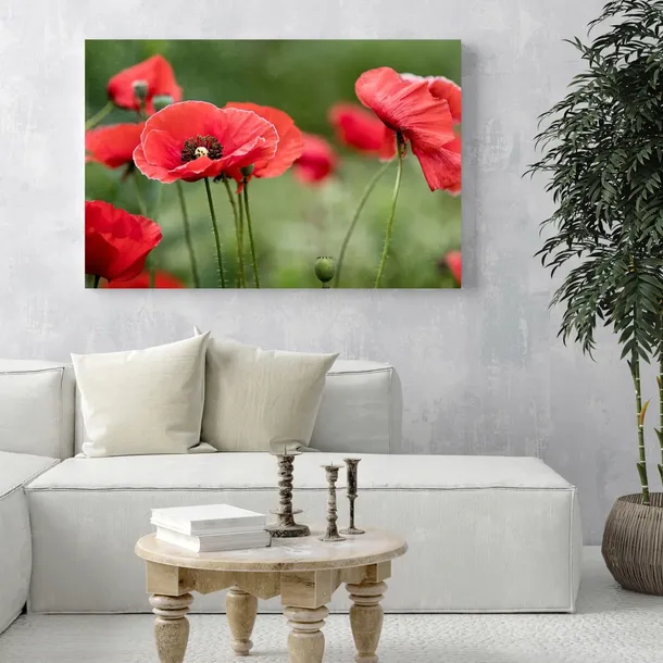 obrazy-na-plotnie-botanika-czerwone-maki-80x40-cm-sposob-wykonania-druk-cyfrowy