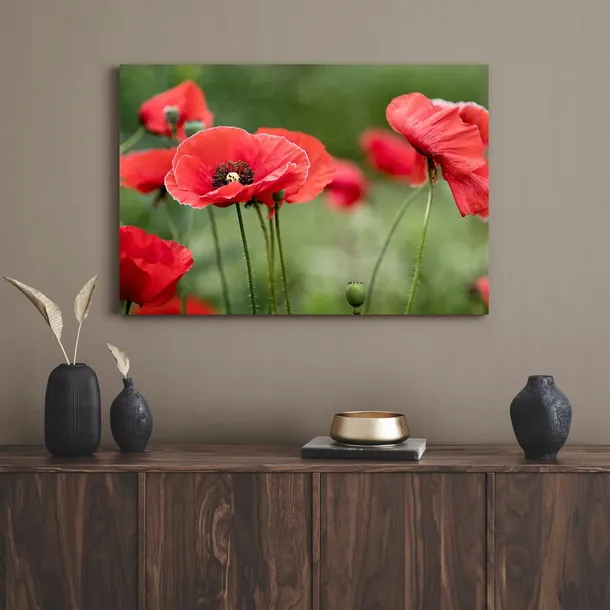 obrazy-na-plotnie-botanika-czerwone-maki-80x40-cm-format-poziomy