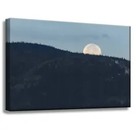 obrazy-na-plotnie-natura-wschodzacy-ksiezyc-60x40