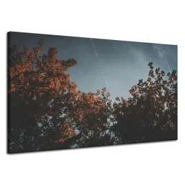 obraz-na-plotnie-natura-pomaranczowe-drzewa-120x70