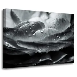 obraz-na-plotnie-botanika-kwiat-krople-rosy-70x50