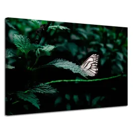 obraz-na-plotnie-natura-motylek-na-lisciu-120x80