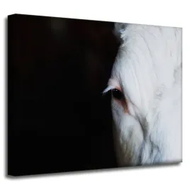 obrazy-na-plotnie-zwierzeta-oko-konia-50x40-cm
