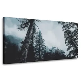 obraz-na-plotnie-natura-korony-drzew-las-80x40-cm