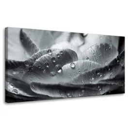obraz-na-plotnie-botanika-kwiat-krople-rosy-80x40