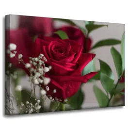 obrazy-na-plotnie-botanika-czerwone-roze-70x50-cm