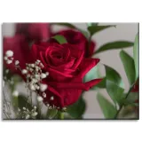 obrazy-na-plotnie-botanika-czerwone-roze-70x50-cm-stan-nowy