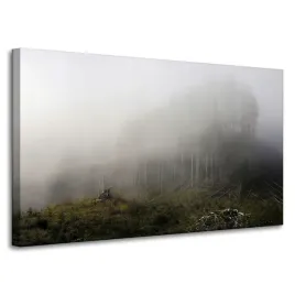 obraz-na-plotnie-natura-mgla-zniszczony-las-100x60