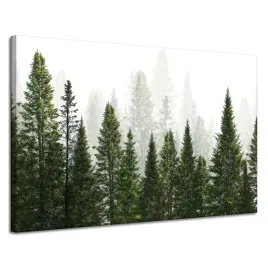 obraz-na-plotnie-deszczowy-las-natura-drzewa-120x80-cm