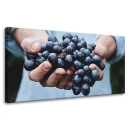 obrazy-na-plotnie-kuchnia-kisc-winogron-80x40-cm