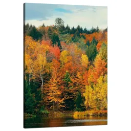 obraz-na-plotnie-kolorowe-liscie-drzewa-jesien-natura-80x120-cm