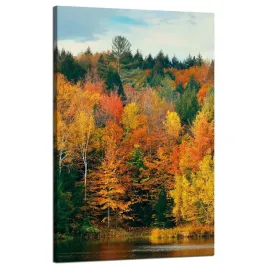 obraz-na-plotnie-kolorowe-liscie-drzewa-jesien-natura-50x80-cm