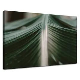 obraz-na-plotnie-natura-lisc-palmy-120x80