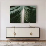 obraz-na-plotnie-natura-lisc-palmy-120x80-material-wykonania-plotno