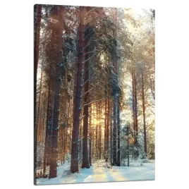 obraz-na-plotnie-las-zima-snieg-biel-przyroda-80x120-cm