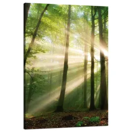 obraz-na-plotnie-slonce-w-lesie-drzewa-natura-80x120-cm