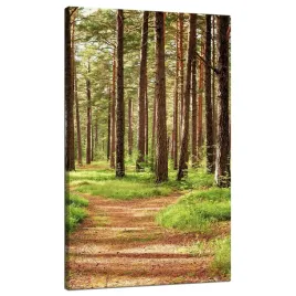 obraz-na-plotnie-sciezka-w-lesie-drzewa-przyroda-70x120-cm