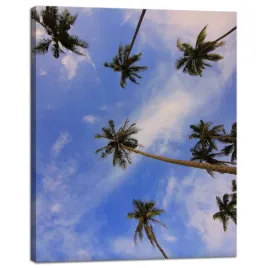 obraz-na-plotnie-natura-palmy-kokosowe-40x50-cm