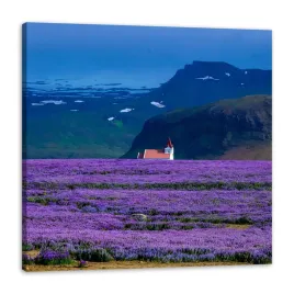 obraz-na-plotnie-natura-pole-lawendy-60x60-cm