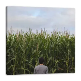 obraz-na-plotnie-natura-pole-kukurydzy-40x40-cm