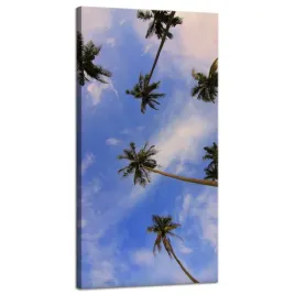 obraz-na-plotnie-natura-palmy-kokosowe-40x80-cm