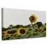 Kolor / wzór produktu #13