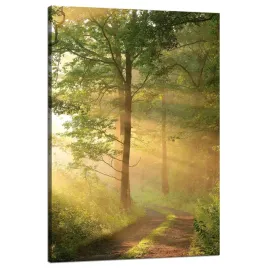 obraz-na-plotnie-swiatlo-slonca-las-sciezka-natura-80x120-cm