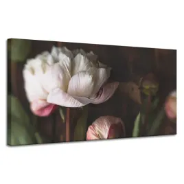 obrazy-na-plotnie-botanika-biale-piwonie-120x60-cm