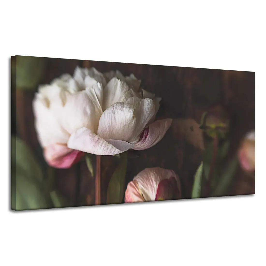 obrazy-na-plotnie-botanika-biale-piwonie-120x60-cm-stan-nowy