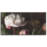 obrazy-na-plotnie-botanika-biale-piwonie-120x60-cm-stan-nowy