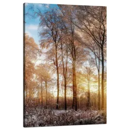 obraz-na-plotnie-drzewa-zima-wschodzace-slonce-80x120-cm