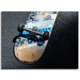obraz-na-plotnie-skateboard-deskorolka-40x30-cm