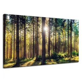obraz-na-plotnie-las-slonce-drzewa-wiosna-poranek-120x70-cm