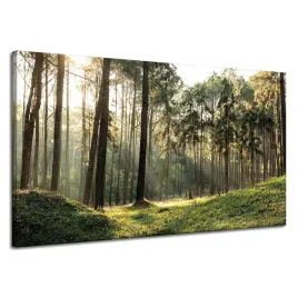 obraz-na-plotnie-las-drzewa-slonce-natura-120x70-cm