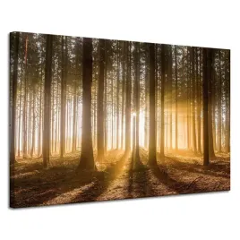 obraz-na-plotnie-slonce-w-lesie-swiatlo-drzewa-120x80-cm