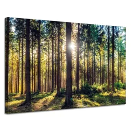obraz-na-plotnie-las-slonce-drzewa-wiosna-poranek-120x80-cm