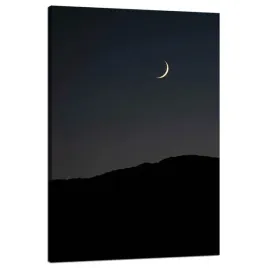 obraz-na-plotnie-natura-noc-mrok-ksiezyc-gory-80x120
