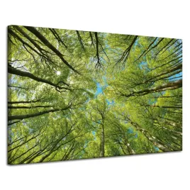 obraz-na-plotnie-liscie-drzewa-zielen-slonce-niebo-120x80-cm