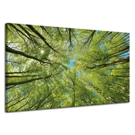 obraz-na-plotnie-liscie-drzewa-zielen-slonce-niebo-120x70-cm
