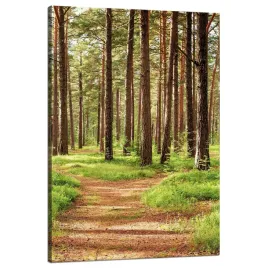 obraz-na-plotnie-sciezka-w-lesie-drzewa-przyroda-80x120-cm