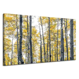 obraz-na-plotnie-brzozy-zolte-liscie-natura-wiosna-120x70-cm