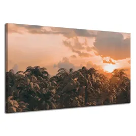 obraz-na-plotnie-drzewa-zachod-slonca-chmury-niebo-120x70-cm