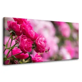 obrazy-na-plotnie-botanika-rozowe-roze-80x40-cm
