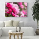 obrazy-na-plotnie-botanika-rozowe-roze-80x40-cm-sposob-wykonania-druk-cyfrowy